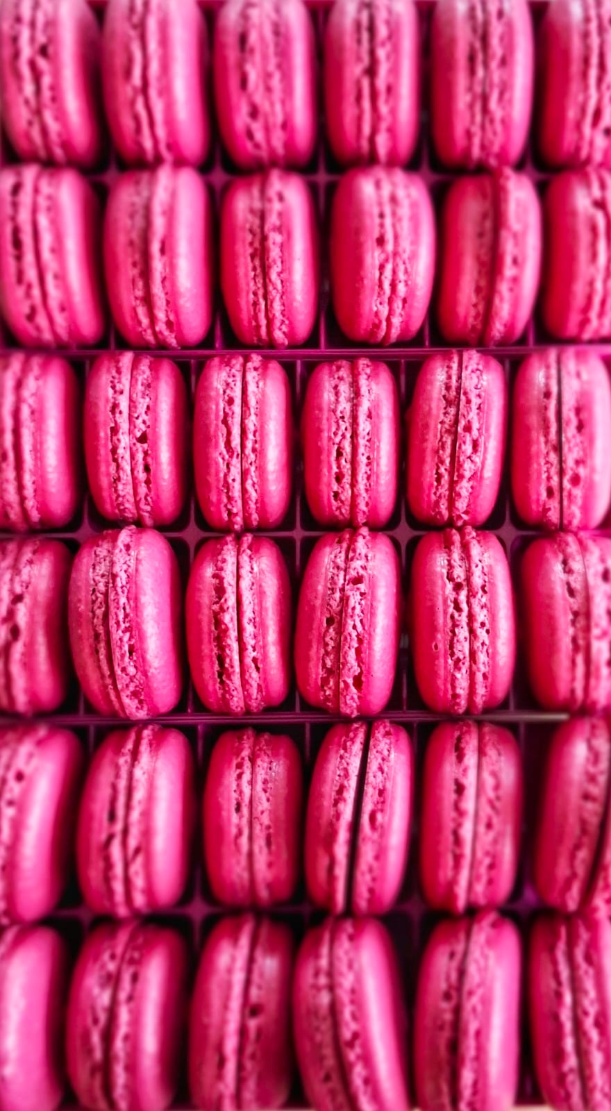 Rangées de macarons artisanaux rose framboise, gros plan — Plaisirs Sucrés By Nathalie